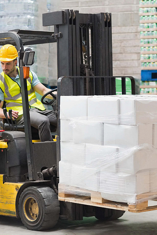 Shutterstock 256140364